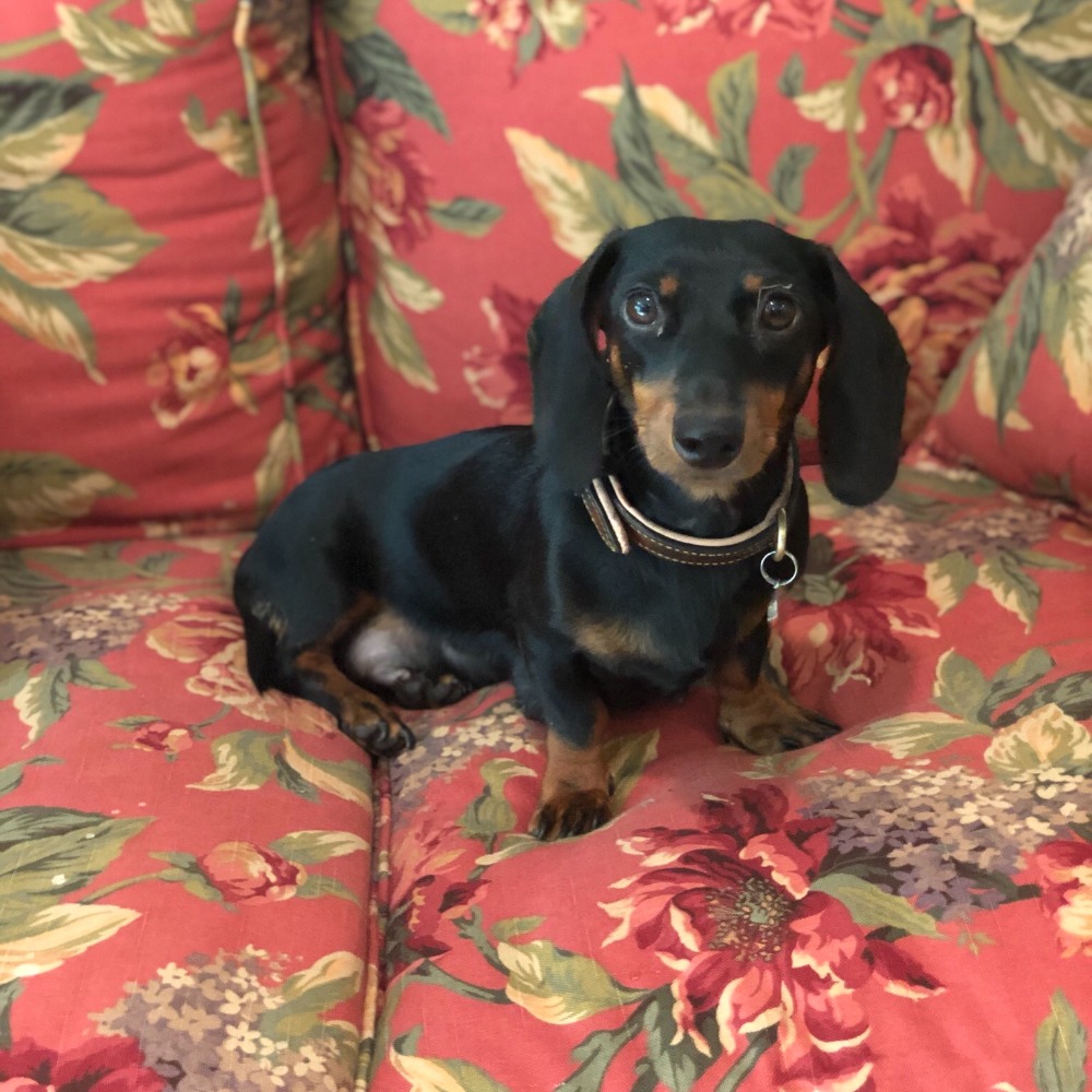 Meet your Posher, Sterling